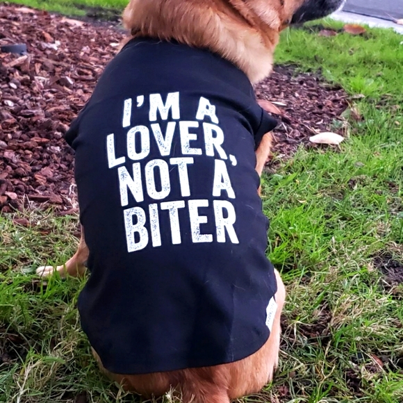 Not for Sale - Picture 1 of 4